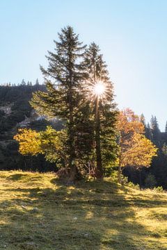 Hiking in autumn in the Ammergau Alps under a bright blue sky