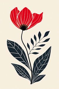 Eleganter Mohn