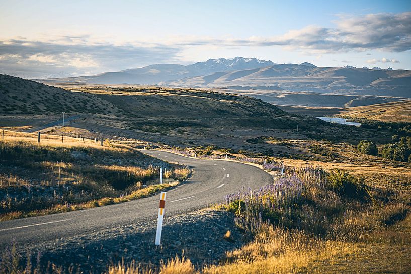 Kurvige Straße in Neuseeland von Leon Weggelaar