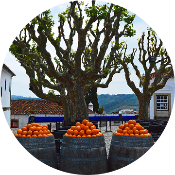 Oranje  in Portugal
