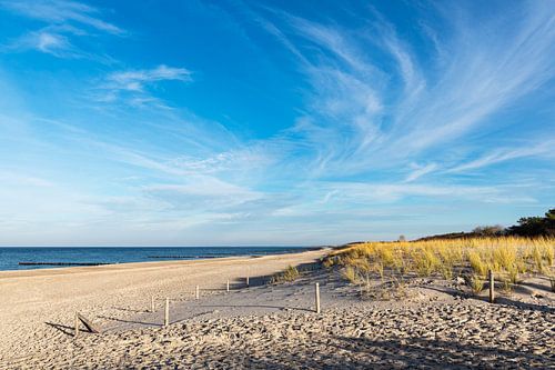 Beach with groynes near Graal-Müritz