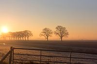 Lever de soleil dans un paysage de polders