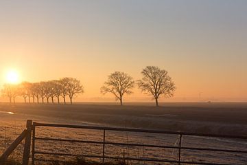 Lever de soleil dans un paysage de polders