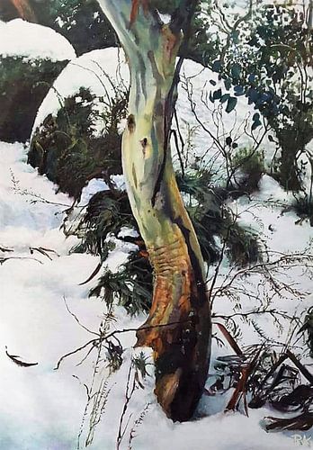 Paysage d'hiver 001