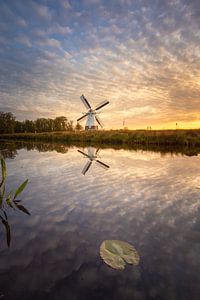 Die weiße Mühle spiegelt sich im Wasser