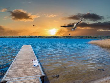 Bootssteg im Sonnenuntergang an der Mecklenburgische Seenplatte von Animaflora PicsStock