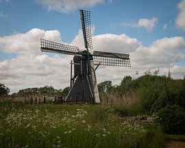 Entre vent et prairie