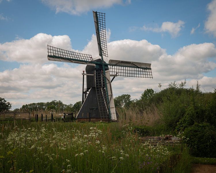 Between Wind and Meadow by Studio Liefkoos
