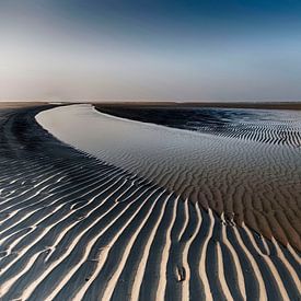 Sandlines by Tineke Visscher