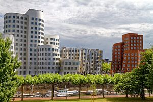 Les constructions de Gehry dans le Medienhafen de Düsseldorf (117342)