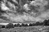 Wolken über der Veluwe