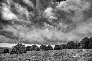 Wolken über der Veluwe
