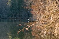 Verlaten badsteiger aan de Tüttensee