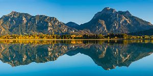 Neuschwanstein van Walter G. Allgöwer