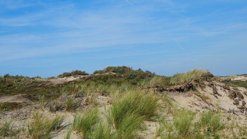 Dunes, Wassenaarseslag, Wassenaar, Netherlands by themovingcloudsphotography