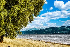 Bodensee Strand