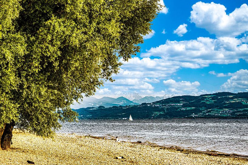 Lake Constance beach by Dieter Walther
