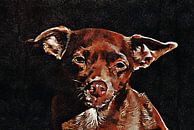 Brown Miniature Pinscher Portrait by Dorothy Berry-Lound thumbnail