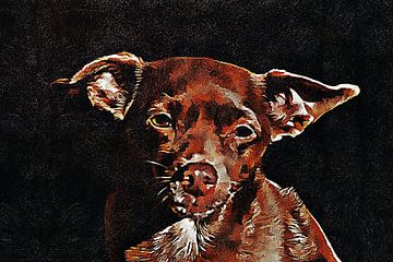 Bruine Dwergpinscher Portret van Dorothy Berry-Lound