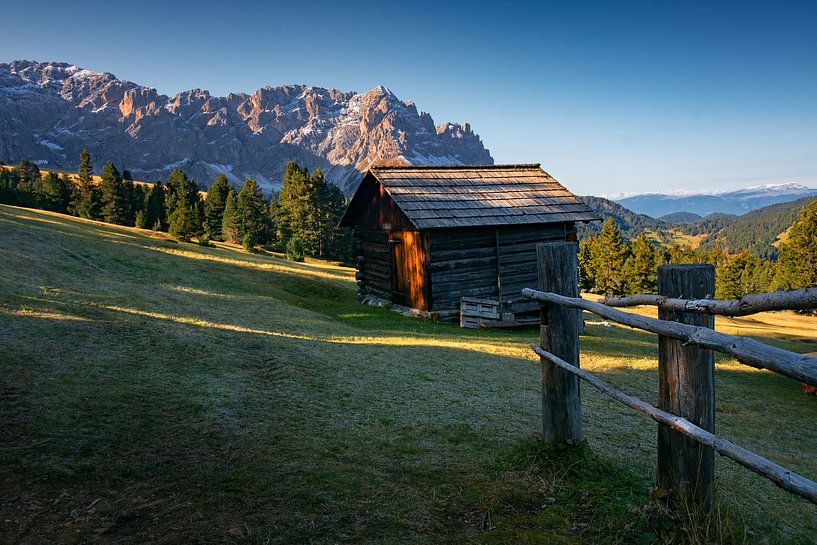 On the mountain by Alex Neumayer