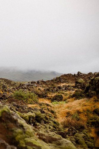 Rugged rocks in Iceland