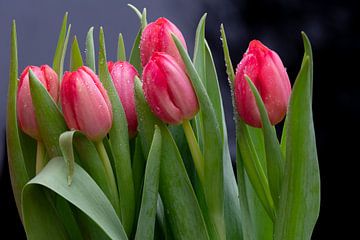 Een boeketje rode tulpen bloemen van Jolanda de Jong-Jansen