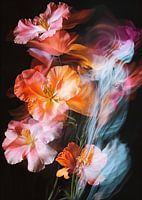 Flowers in motion