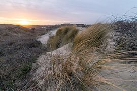 Dutch dunes by Dirk van Egmond
