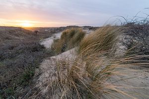Dutch dunes sur Dirk van Egmond
