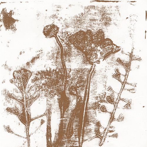 Botanica delicata. Bloemen in donker goud op wit