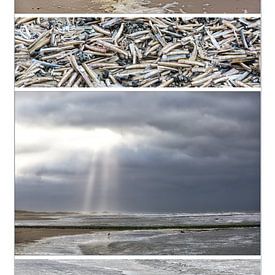 Een bijzondere collage van het Nederlandse strand van Willy Sybesma