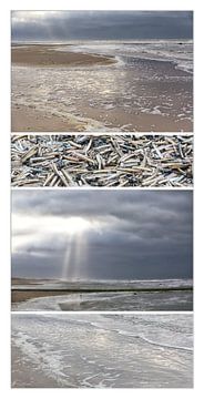Een bijzondere collage van het Nederlandse strand van Willy Sybesma