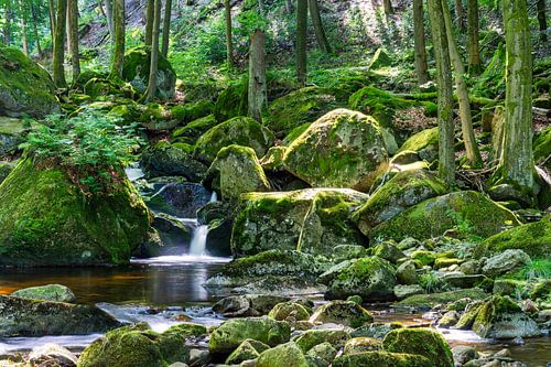 Uitzicht op de watervallen van de Ilse in het Harzgebergte