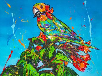 Tropischer Vogel Aruba von Happy Paintings