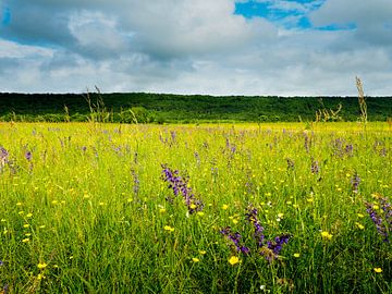 Veld met wilde bloemen in Frankrijk van Gabi Gaasenbeek