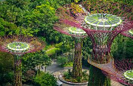 Gardens by the Bay by Stefan Havadi-Nagy