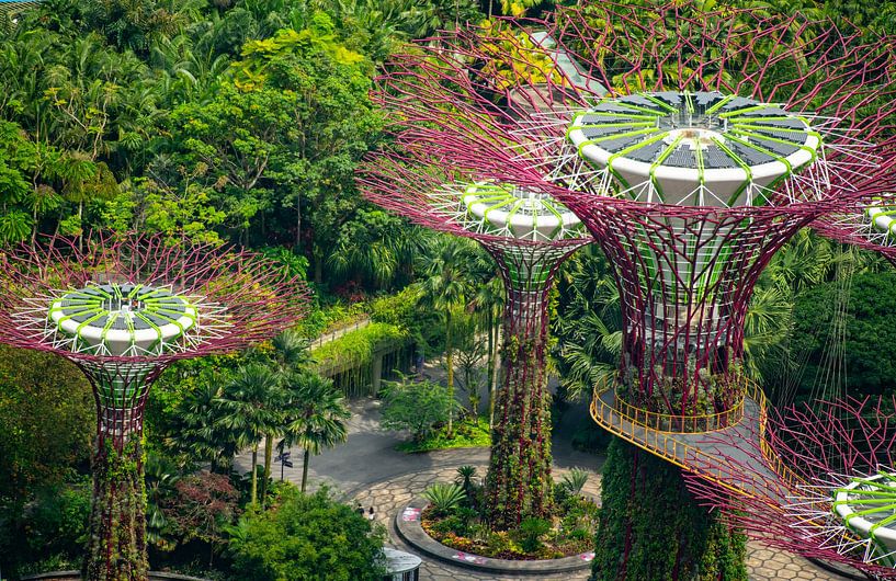 Gardens by the Bay by Stefan Havadi-Nagy
