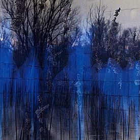 Trapped in blue van Anita Snik-Broeken