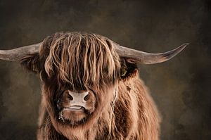 Porträt eines schottischen Highlanders mit Aquarellhintergrund