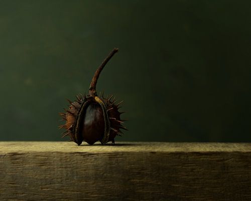 Verborgen schoonheid