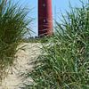 Phare de Texel sur Wim van der Geest