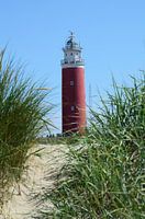 Texel-Leuchtturm