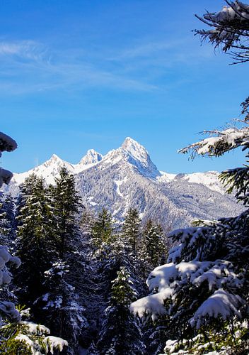 De Alpen - wild, rustig, machtig en delicaat tegelijk ️✨ Elk facet vertelt een verhaal van natuur, licht en leven.