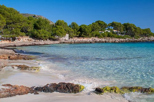 Wooded beach section at Cala Agulla with turquoise water and blue sky