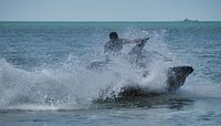 tussen palmbomen met jetski van Atelier Liesjes thumbnail