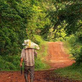 Regenwald Costa Rica von Mirjam Welleweerd