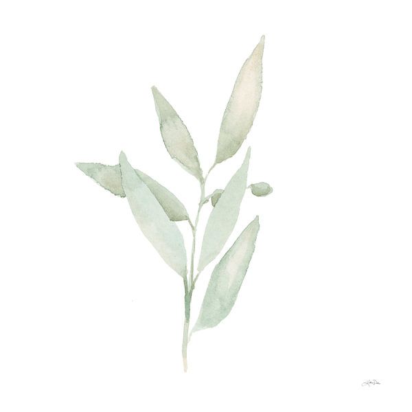 Sage II, Katrina Pete von Wild Apple