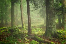 Süße Serendipität von Ellen Borggreve