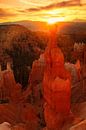 De hamer van Thor bij zonsopgang, Bryce Canyon, Utah, USA van Markus Lange thumbnail
