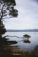 Maria Island: Strahan's Natural Treasure